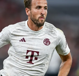 在众多高手 在众多高手